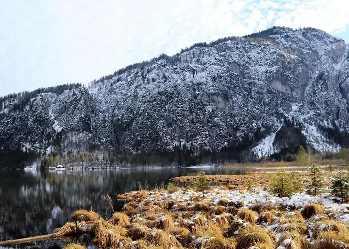 Adlerhorst - 5 By Interhome Lejlighed Grünau im Almtal