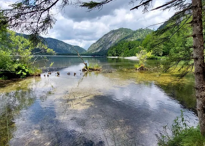 Lejlighed Adlerhorst - 5 By Interhome